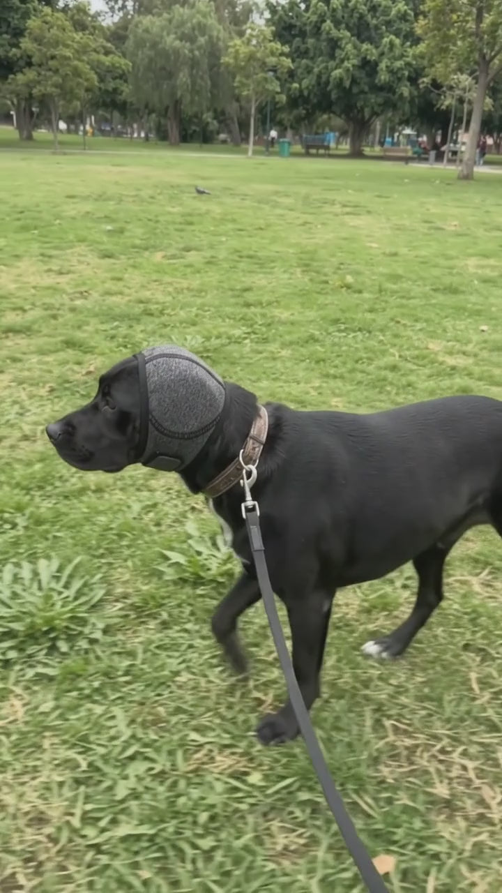 Nuvee · Protector de oídos para perros
