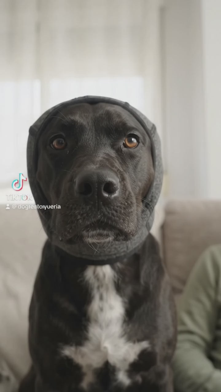 Nuvee · Protector de oídos para perros